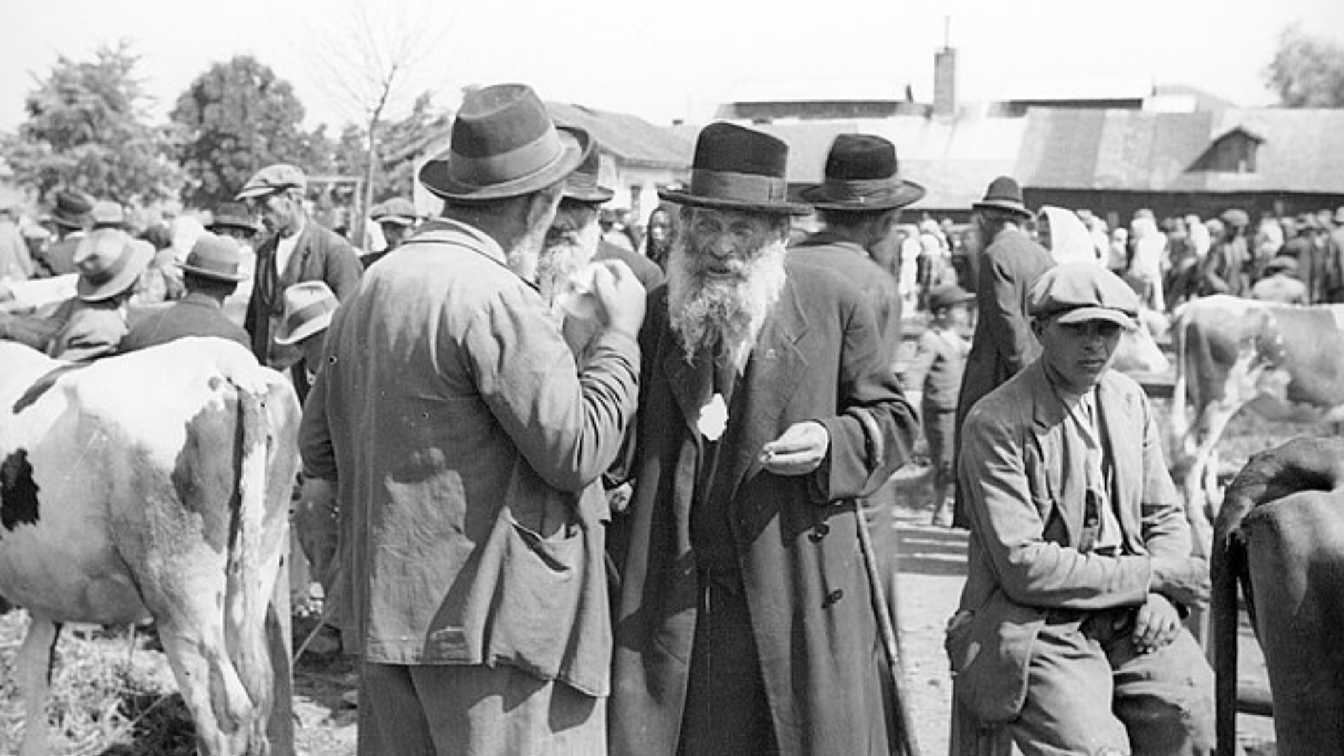 Parlez-vous Juif?  Le judaïsme mot à mot poster