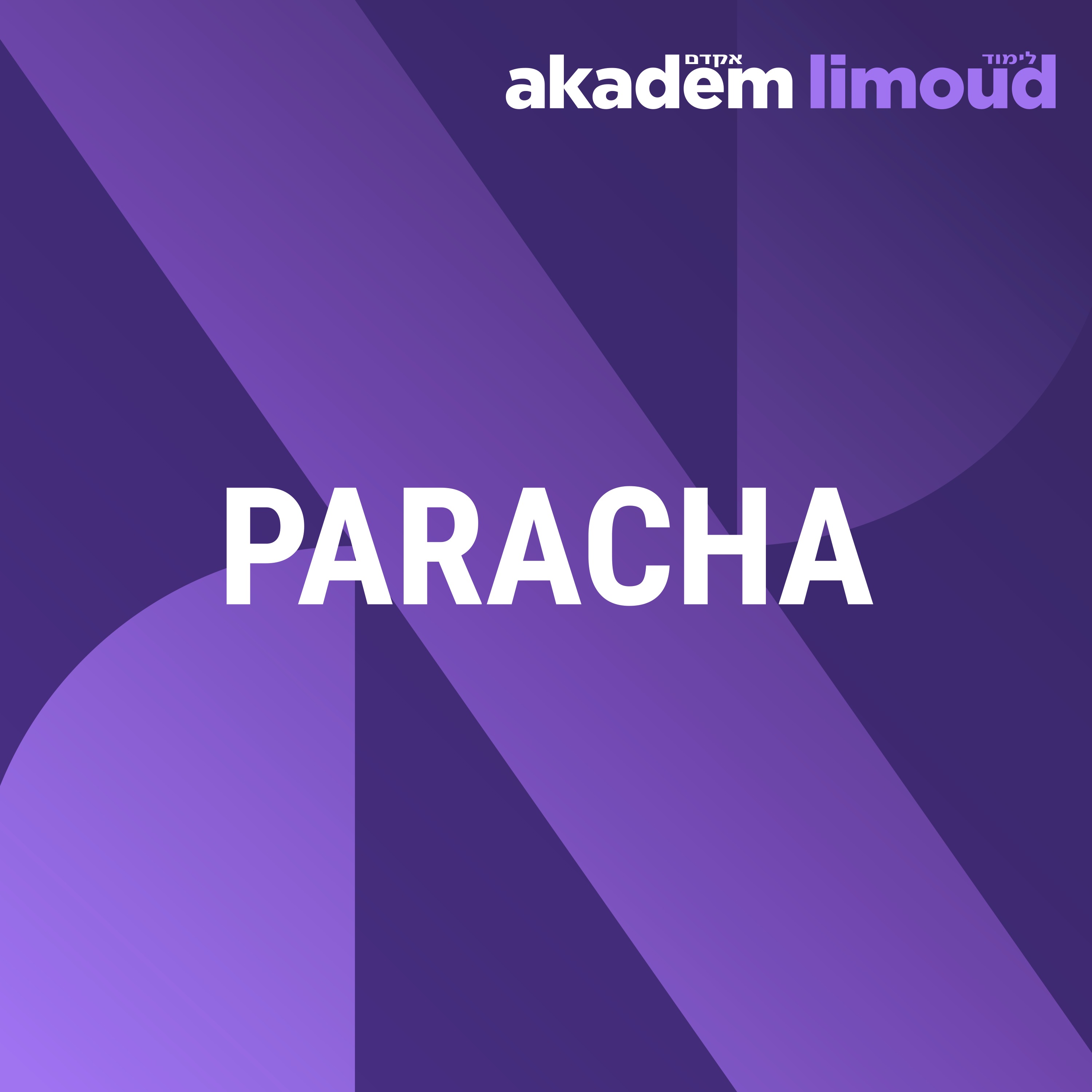 Paracha de la semaine 5786 podcast artwork