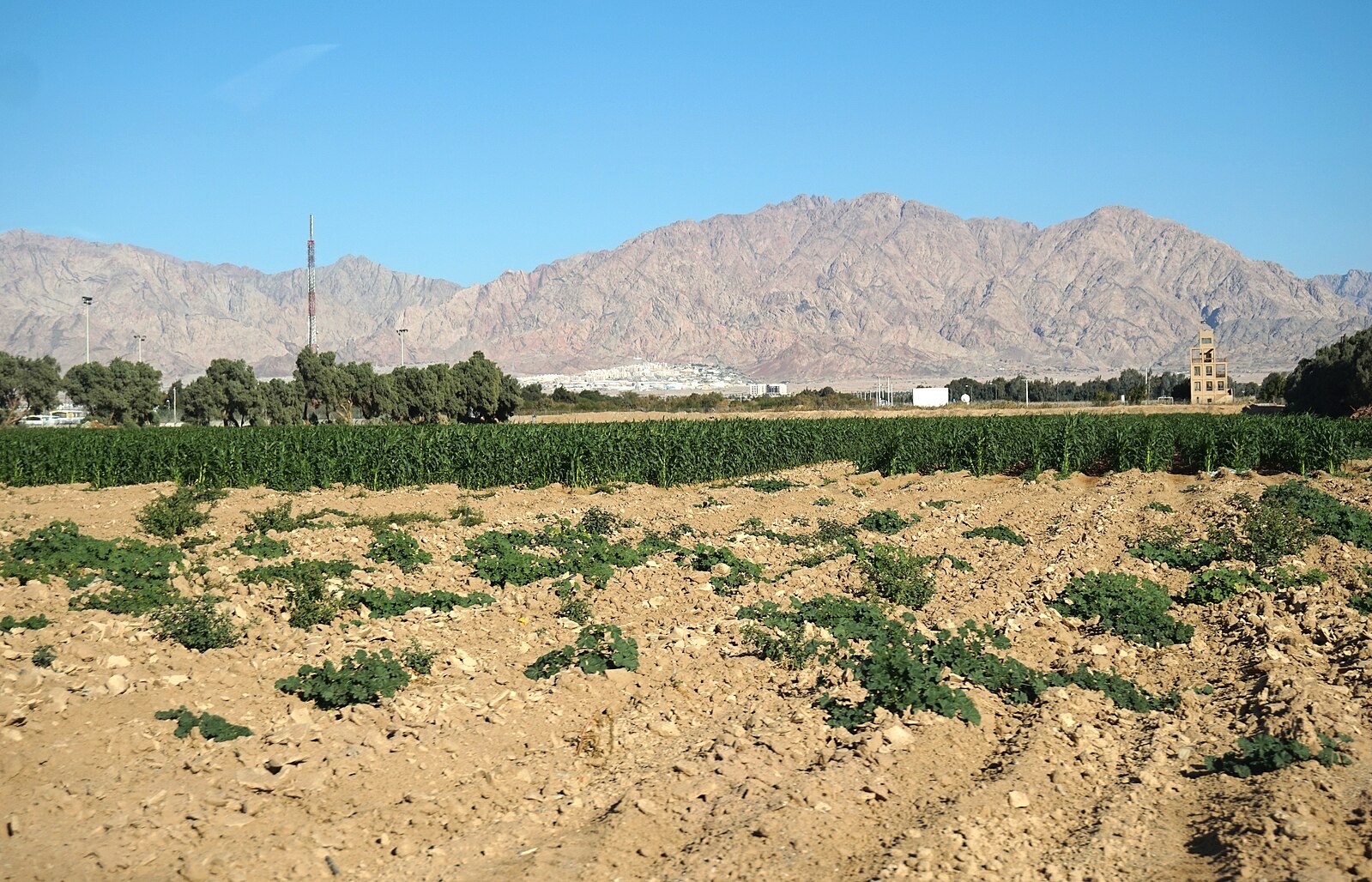 Le repos de la terre thumbnail