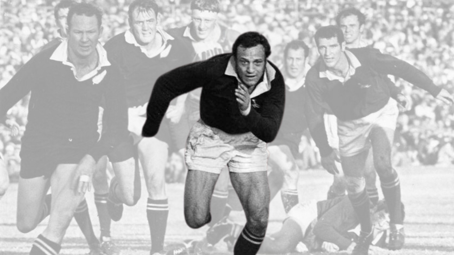 Rugby Le Minyan Des Springboks