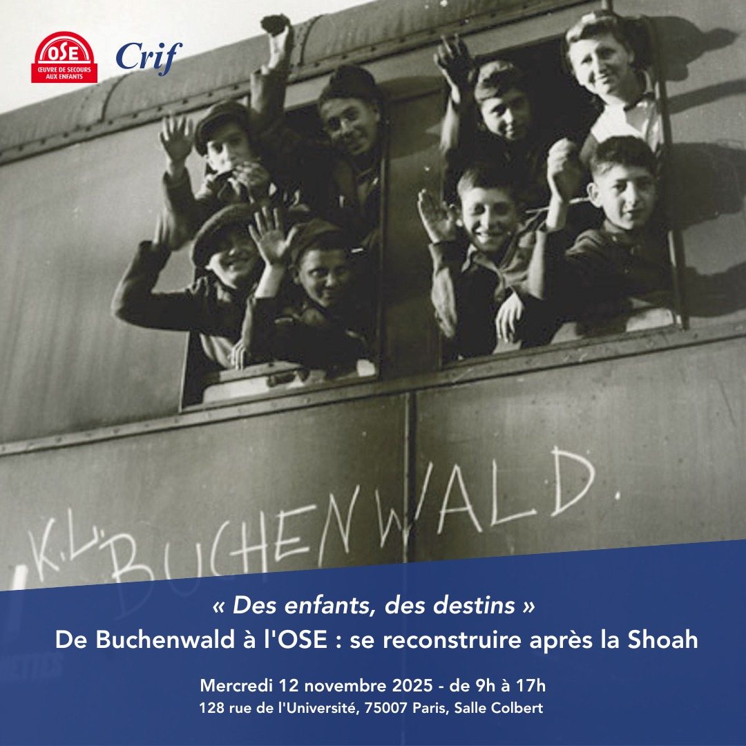 Des enfants, des destins:  de Buchenwald à l'OSE : se reconstruire après la Shoah thumbnail