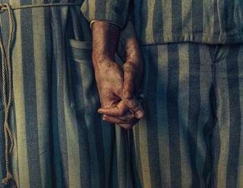 Le tatoueur d'Auschwitz, de Tali Shalom-Ezer (épi.1 et 2) thumbnail