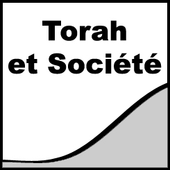 Torah et société